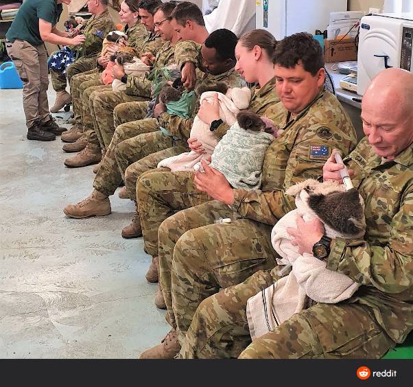 호주 군인들의 휴식 시간